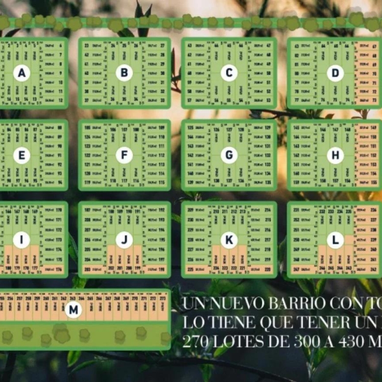 780