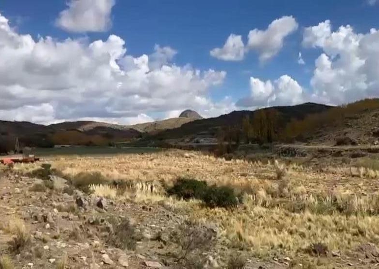 780