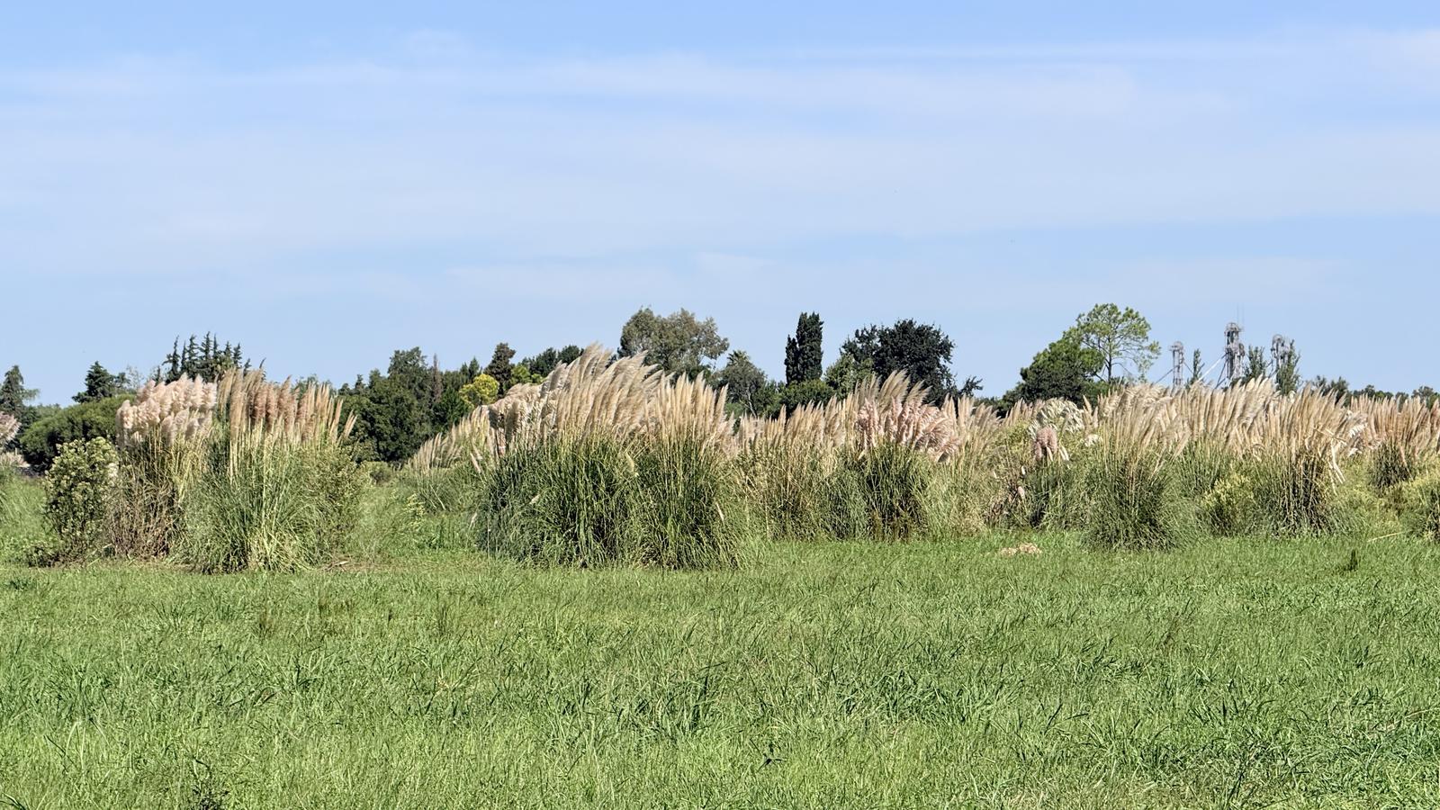 7775993_110311850123312588613383631173518286677229690344746670818412541380006711903896