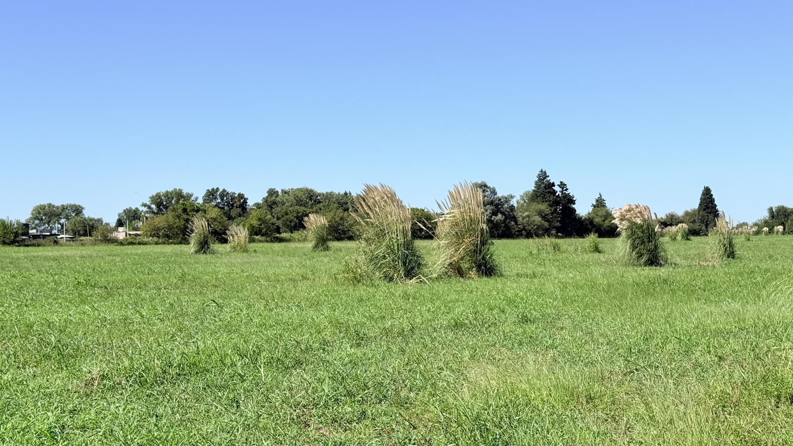 7775993_37248455059863485840271550207766213501022939279387051098112112299166164905626