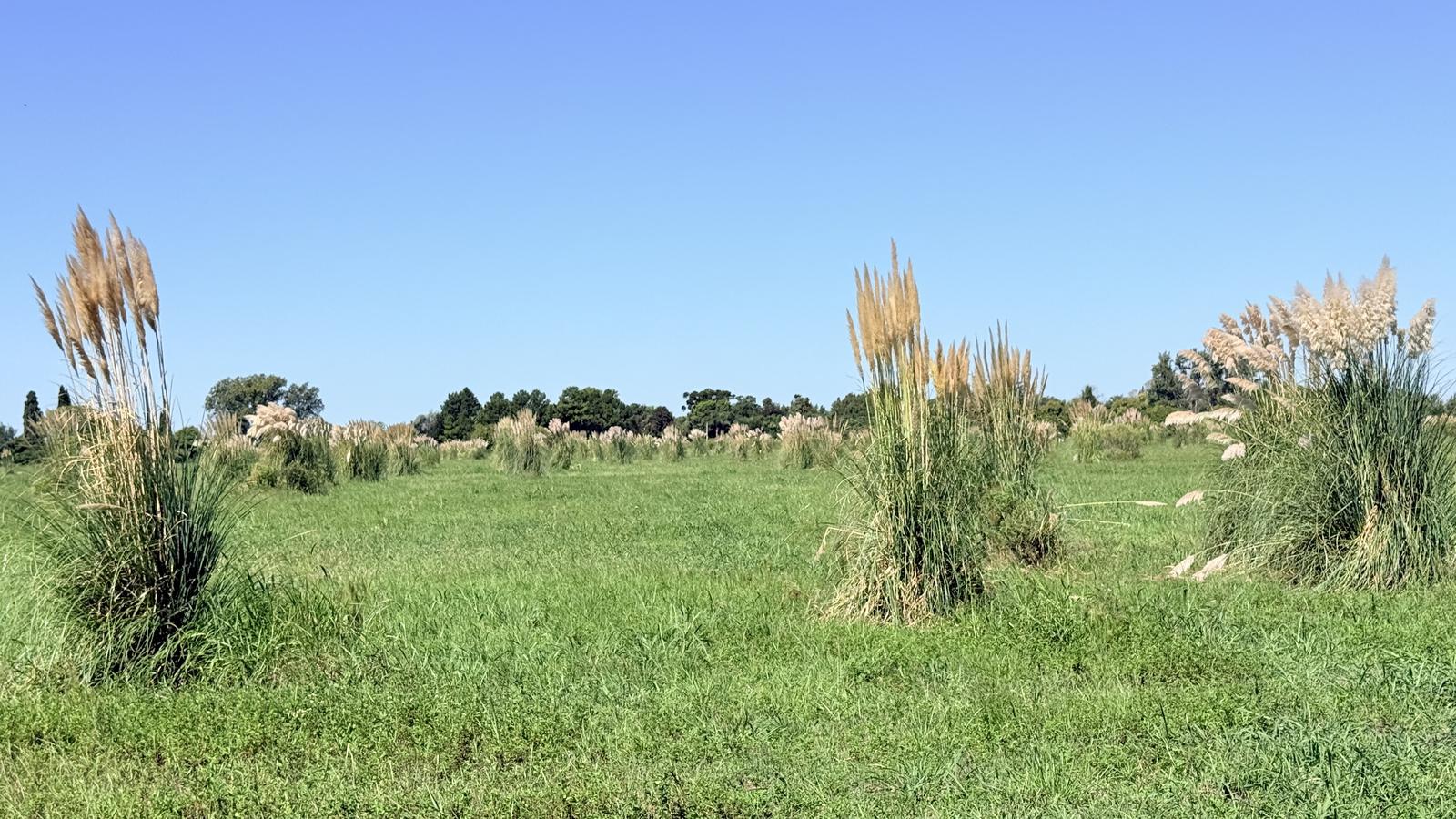 7775993_5579081197075318374515753519412738800191918002949402757037439635872925795403