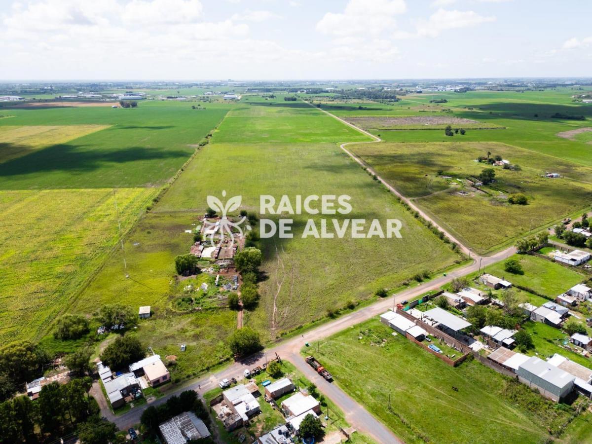 Raíces de Alvear