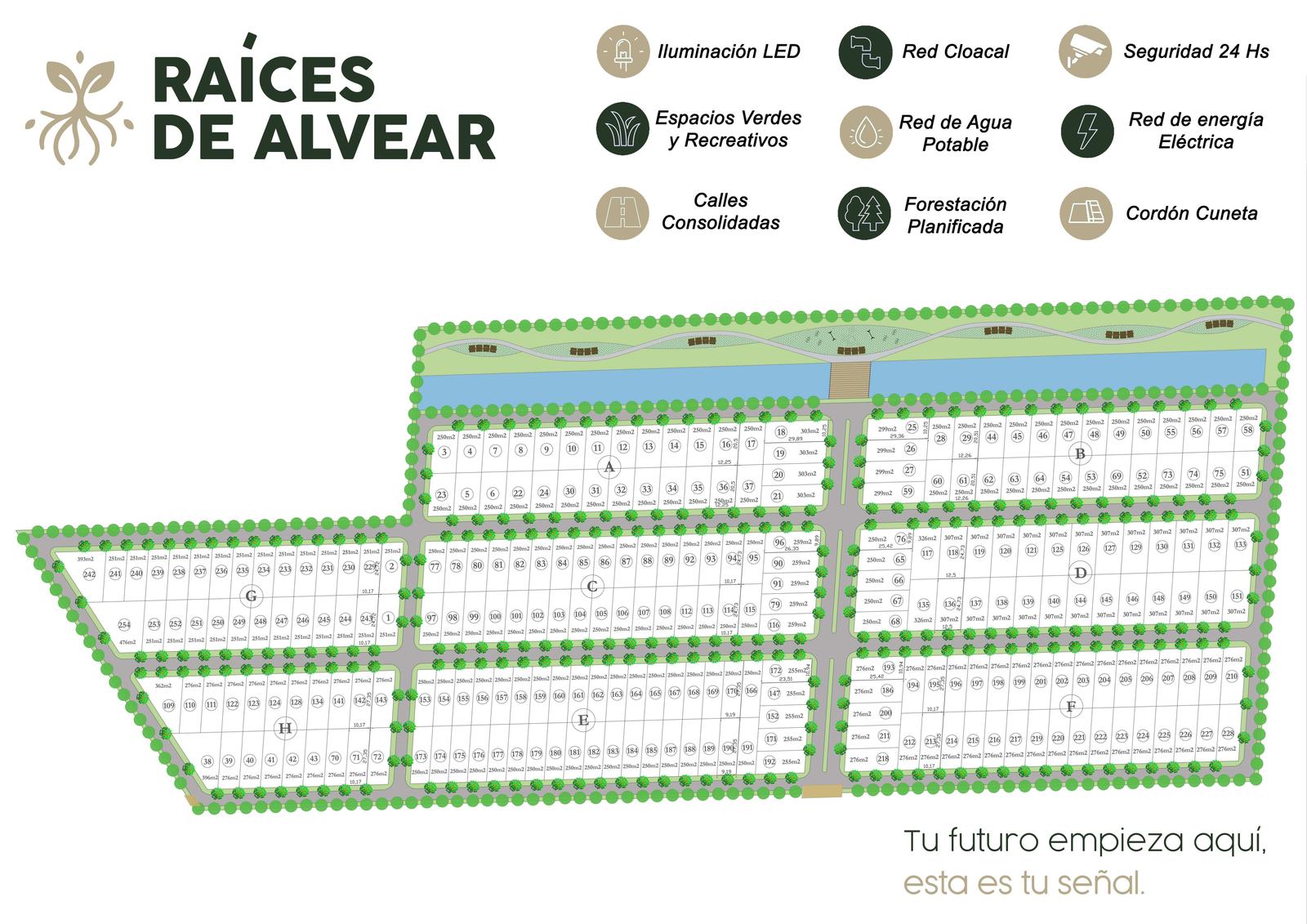 Raíces de Alvear