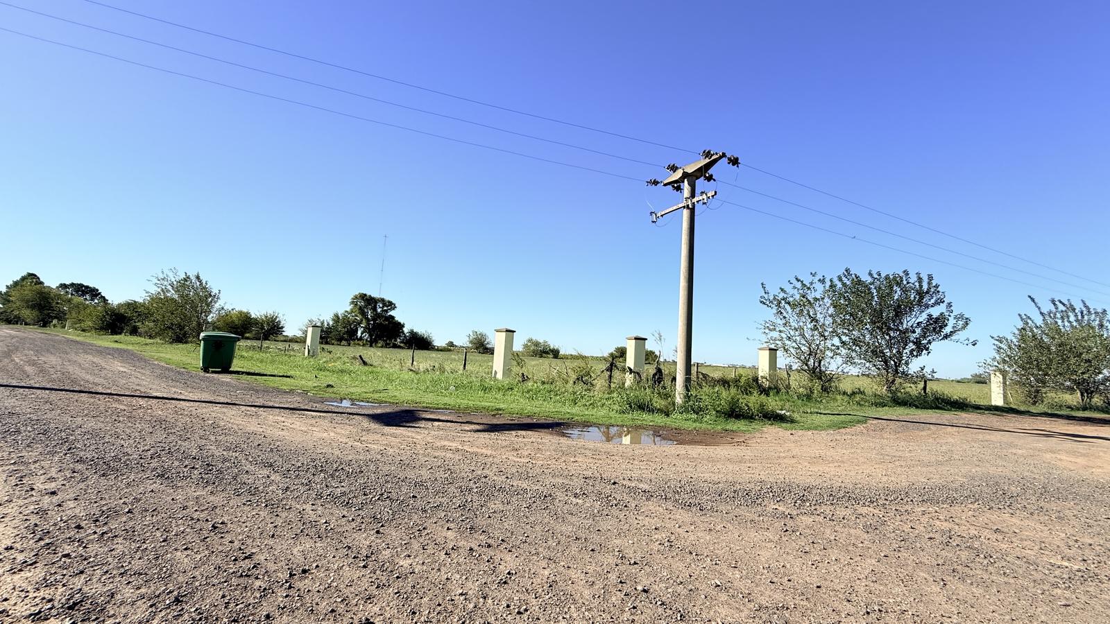 Raíces de Alvear