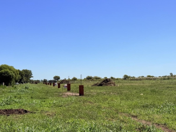 Aurea Barrio Cerrado – Roldan