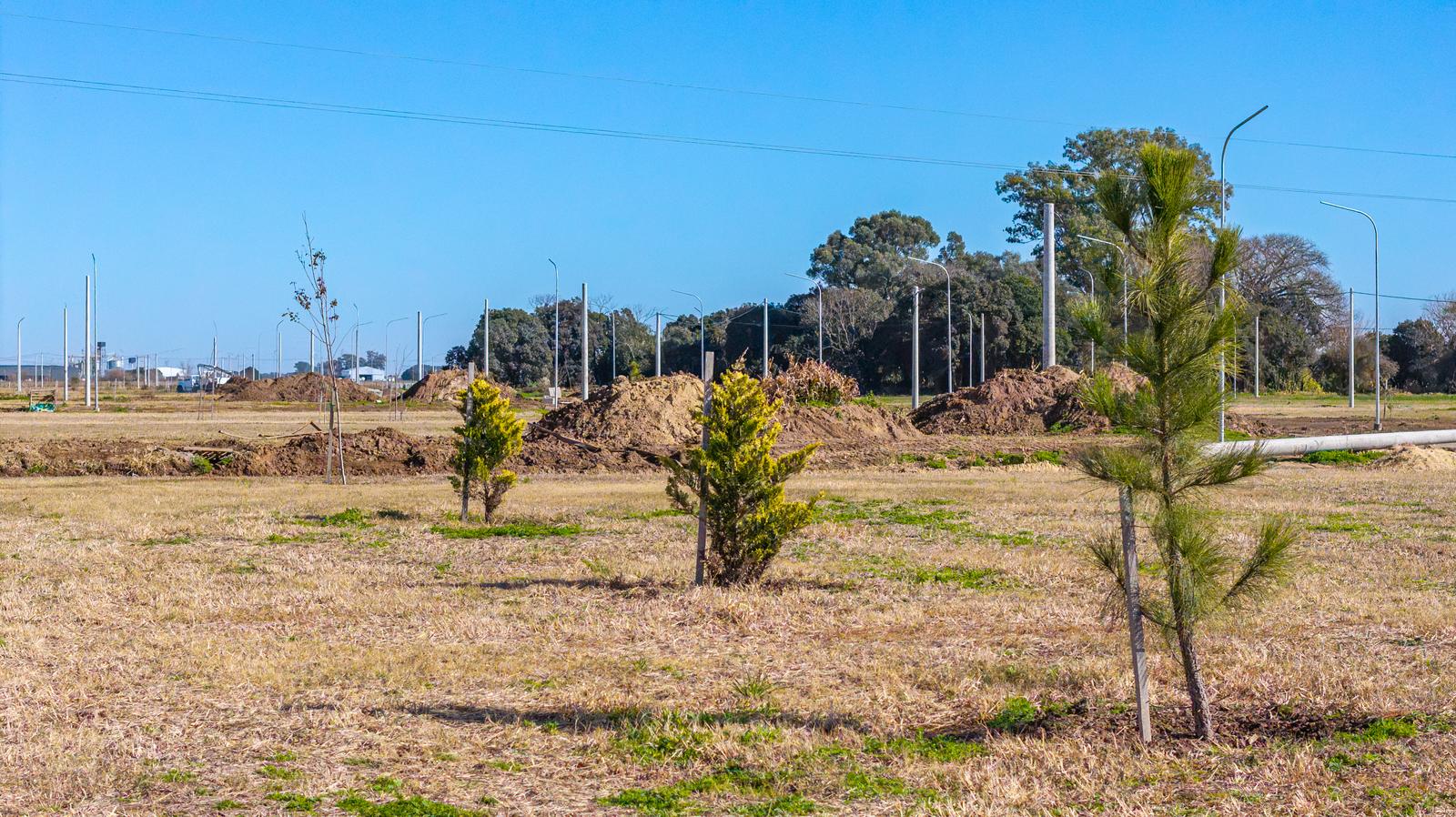 Acceso Gral. Lagos y E. Lopez | Lote 117